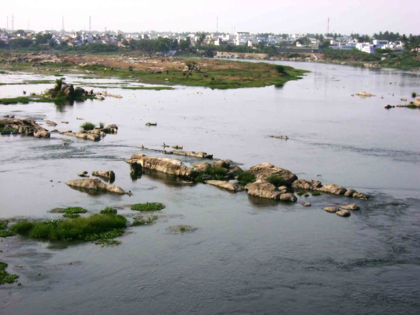 Cauvery at Erode
